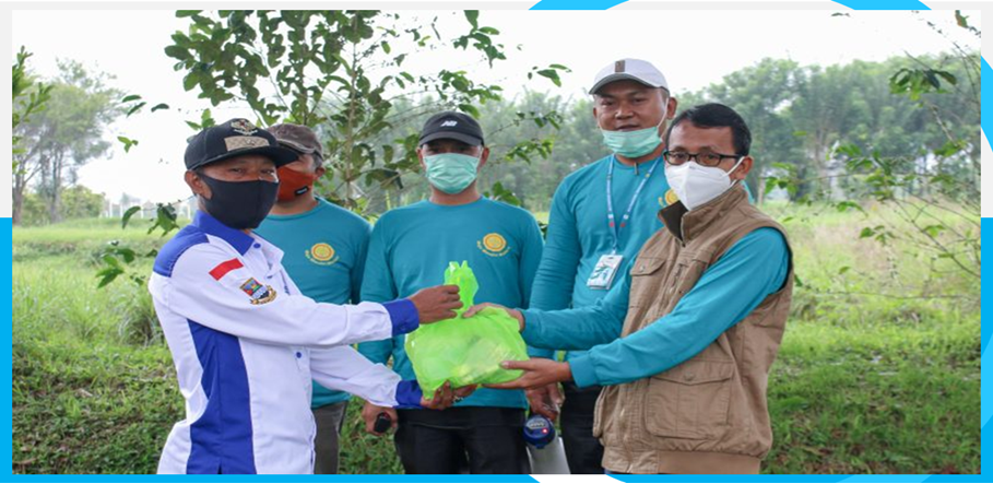 Balittro Gencarkan Bimtek Budidaya Serai Wangi